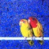 Rosey Lovebirds