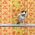 Sparrow in Da House