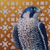 Peregrine for a Prince